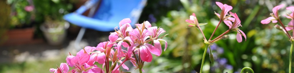 avis des clients le jardin La Masana B&B