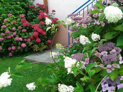 Accès au jardin à La Masana