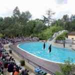 Spectacle dressage Zoo Pont-Scorff